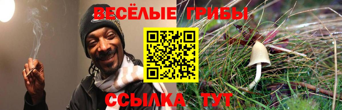 Галлюциногенные грибы ЛСД Луга