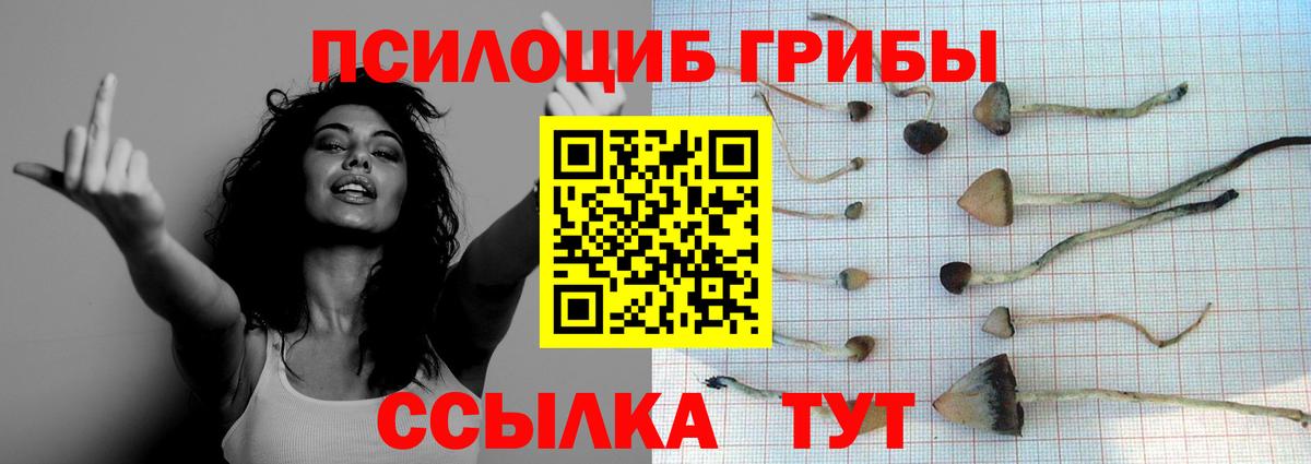 Галлюциногенные грибы Magic Shrooms  Галлюциногенные грибы ЛСД  Луга  Вход с VPN 
